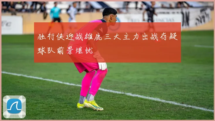 独行侠迎战雄鹿三大主力出战存疑球队前景堪忧