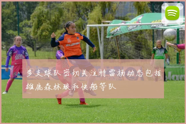 多支球队密切关注特雷杨动态包括雄鹿森林狼和快船等队